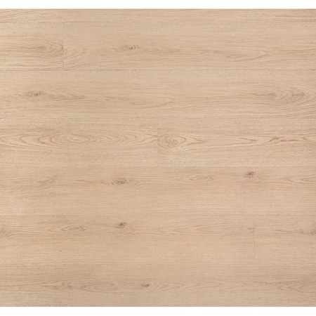 Msi Cyrus Chester Hills Sample 20Mil Rigid Core Luxury Vinyl Plank Flooring ZOR-LVR-SAM-0238